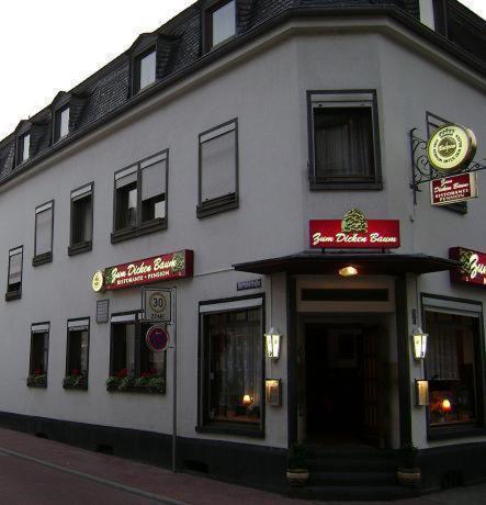 Hotel Zum Dicken Baum Mayen Exterior foto